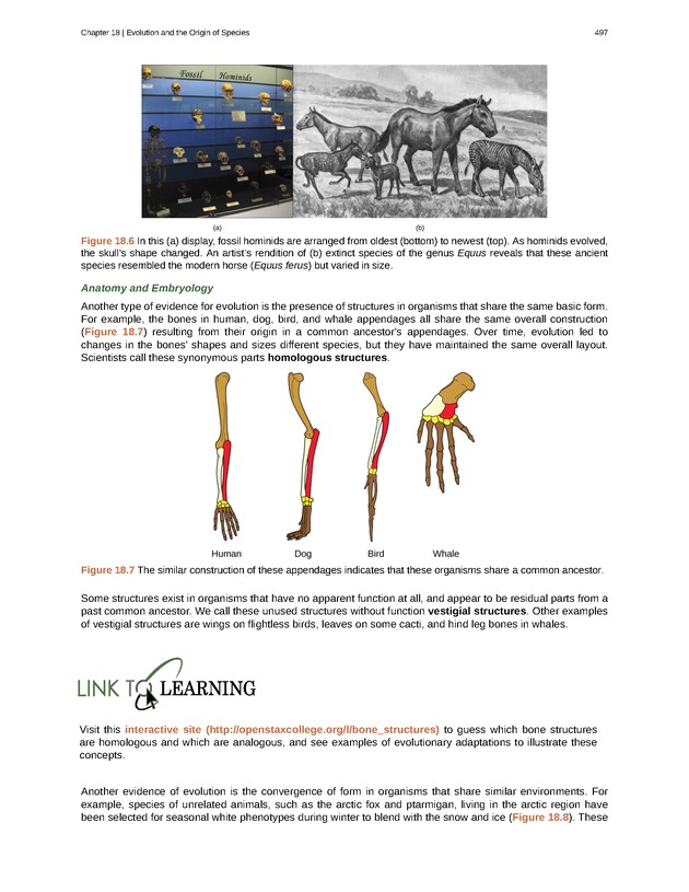 Biology - Front Matter 508