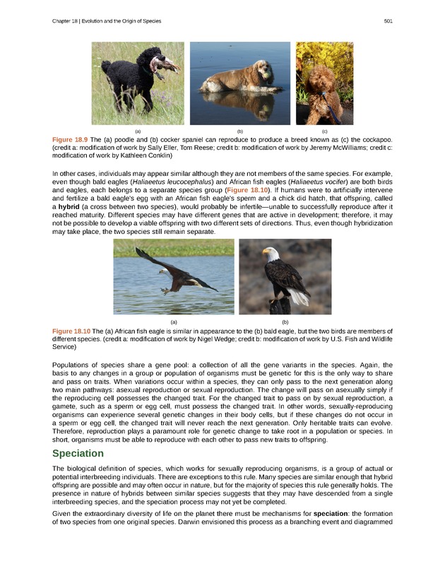 Biology - Front Matter 512