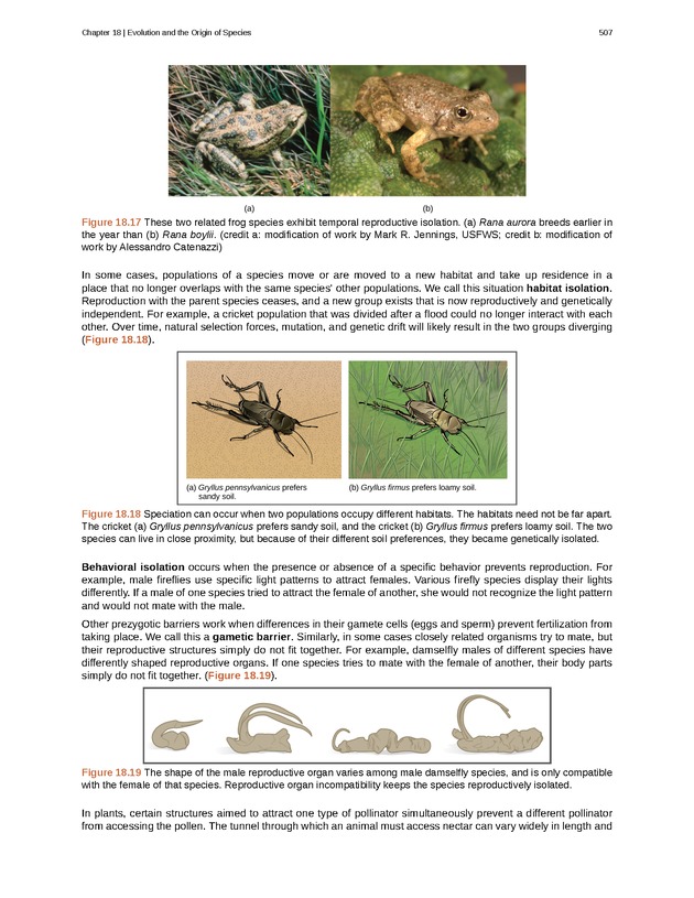 Biology - Front Matter 518