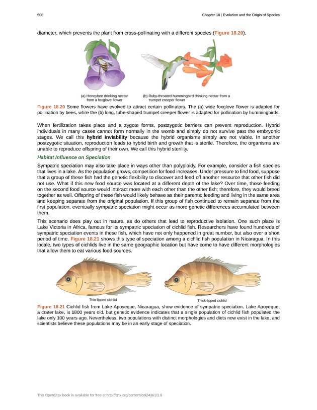 Biology - Front Matter 519