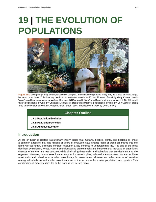 Biology - Front Matter 528