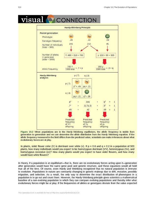 Biology - Front Matter 531