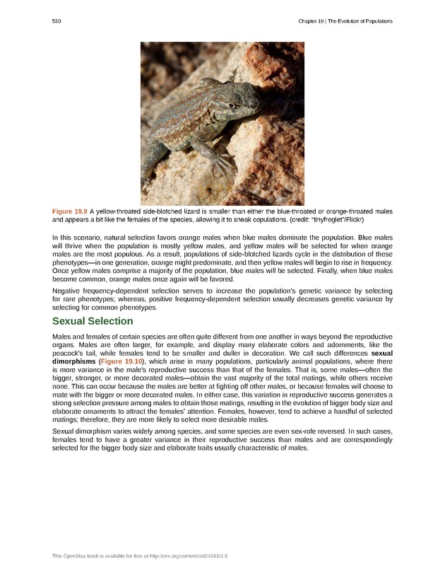 Biology - Front Matter 541
