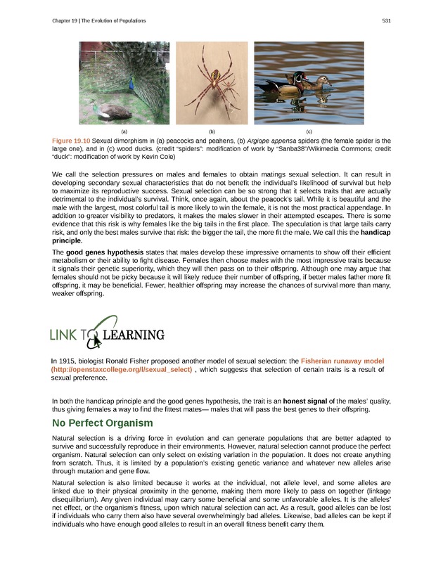 Biology - Front Matter 542