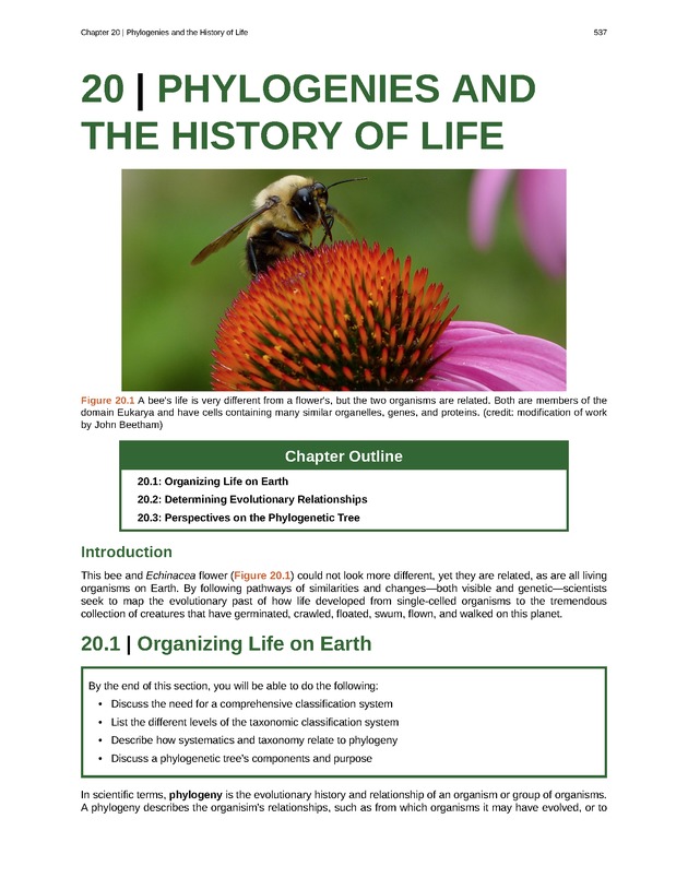 Biology - Front Matter 548