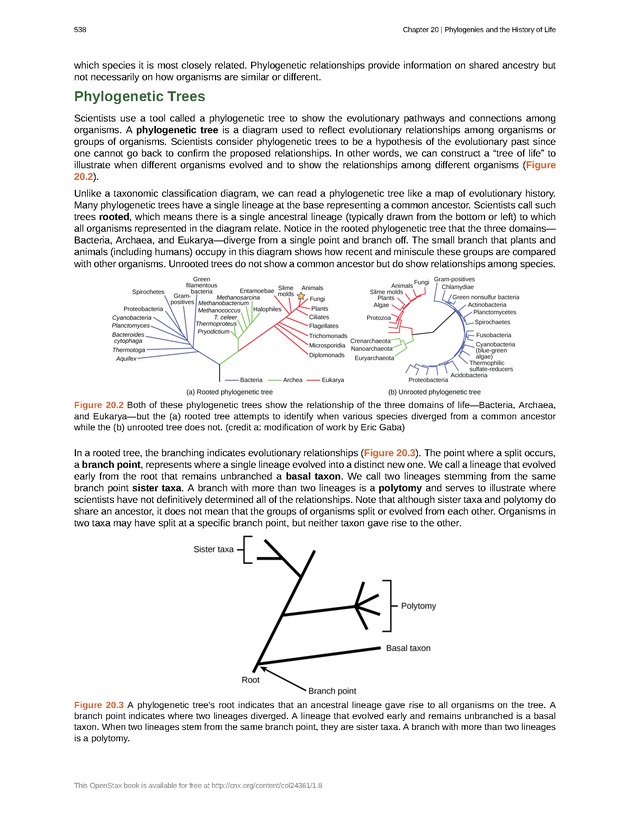 Biology - Front Matter 549