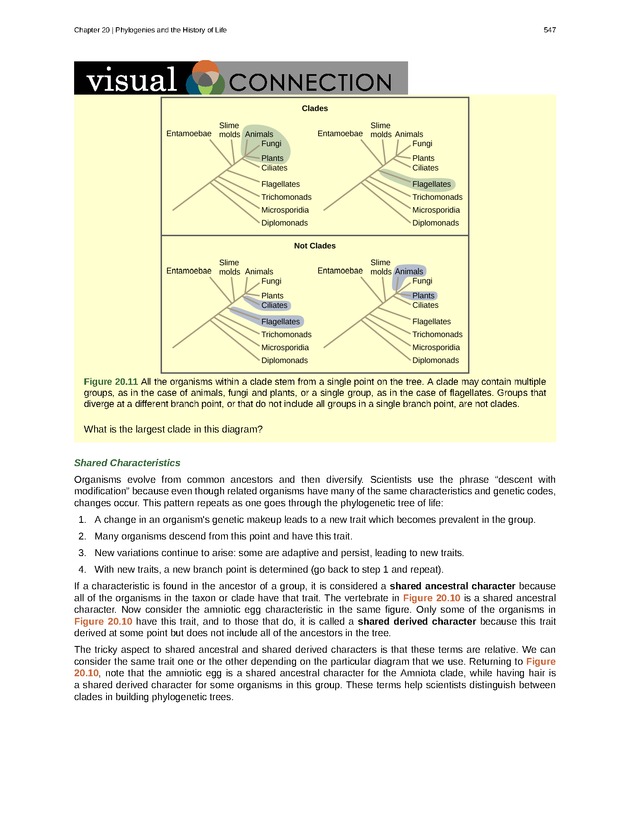 Biology - Front Matter 558