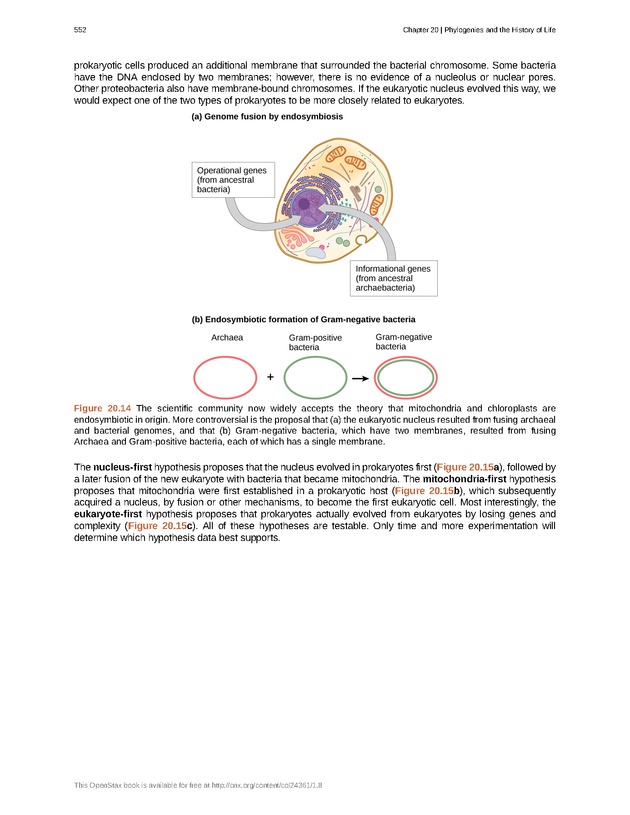 Biology - Front Matter 563