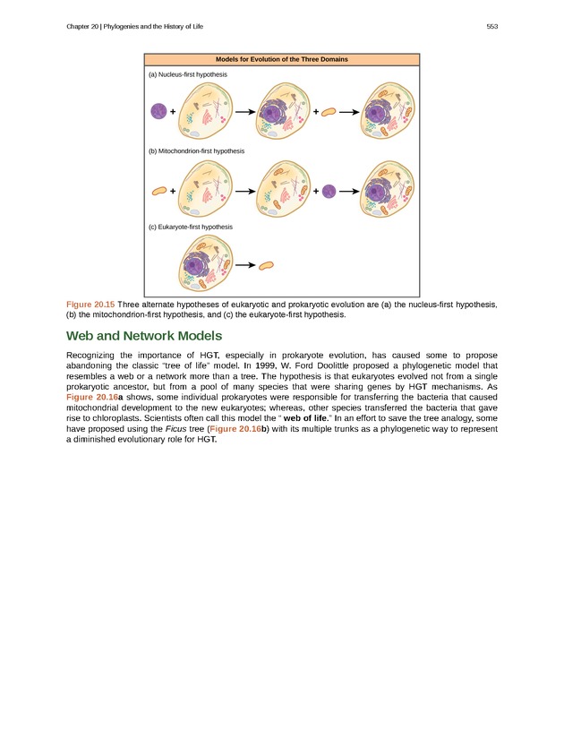 Biology - Front Matter 564