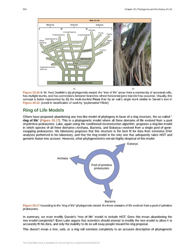 Biology - Front Matter 565