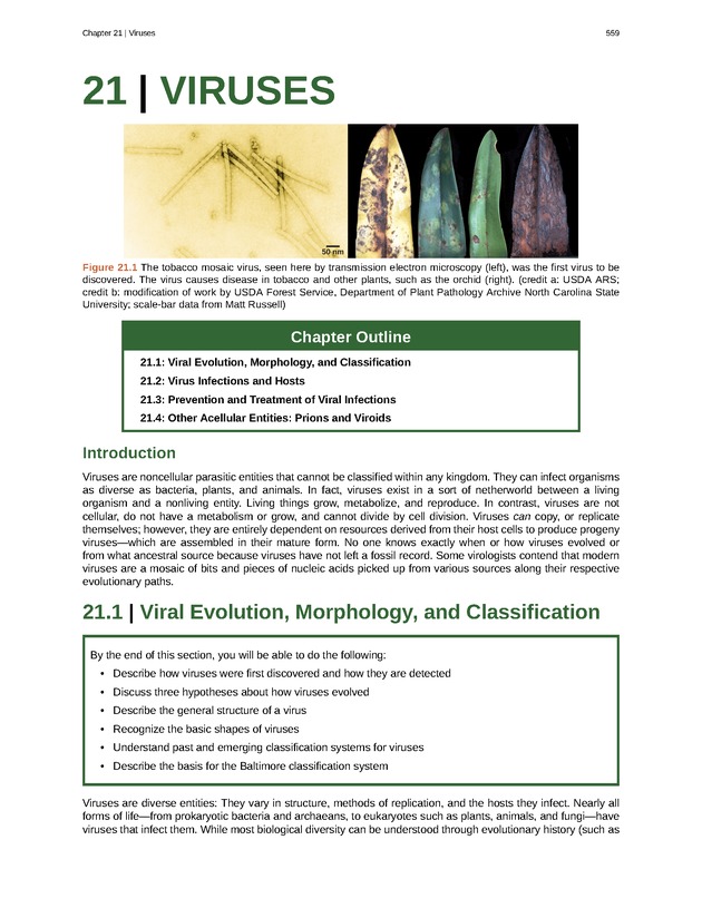 Biology - Front Matter 570