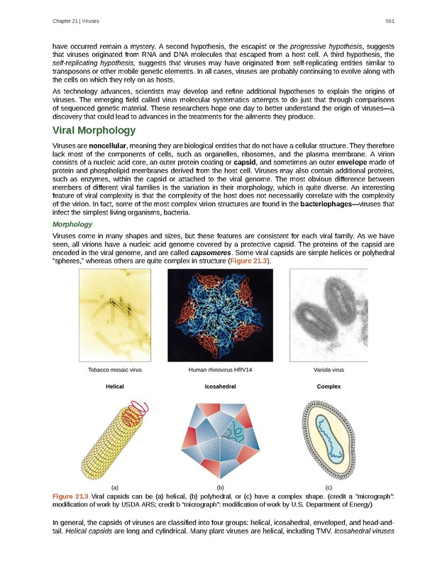 Biology - Front Matter 572