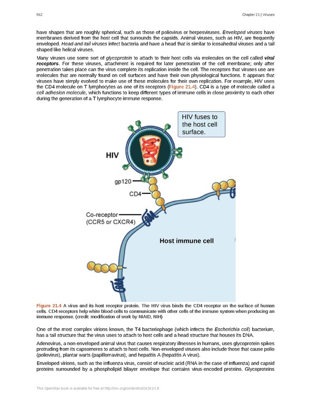 Biology - Front Matter 573