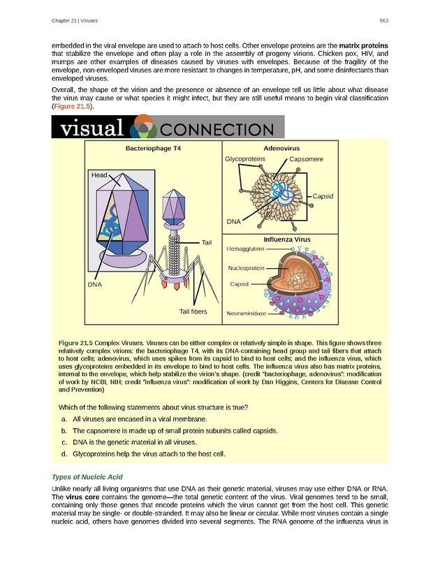 Biology - Front Matter 574