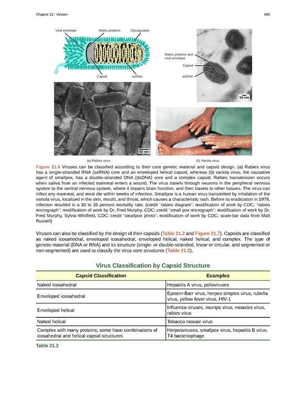 Biology - Front Matter 576