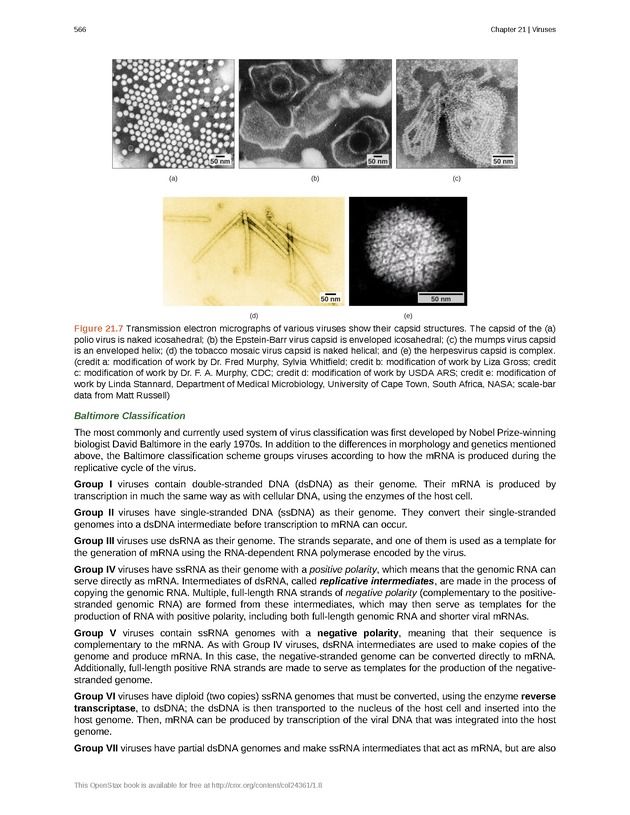 Biology - Front Matter 577