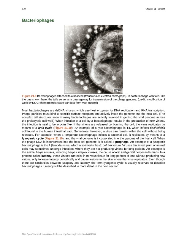 Biology - Front Matter 581