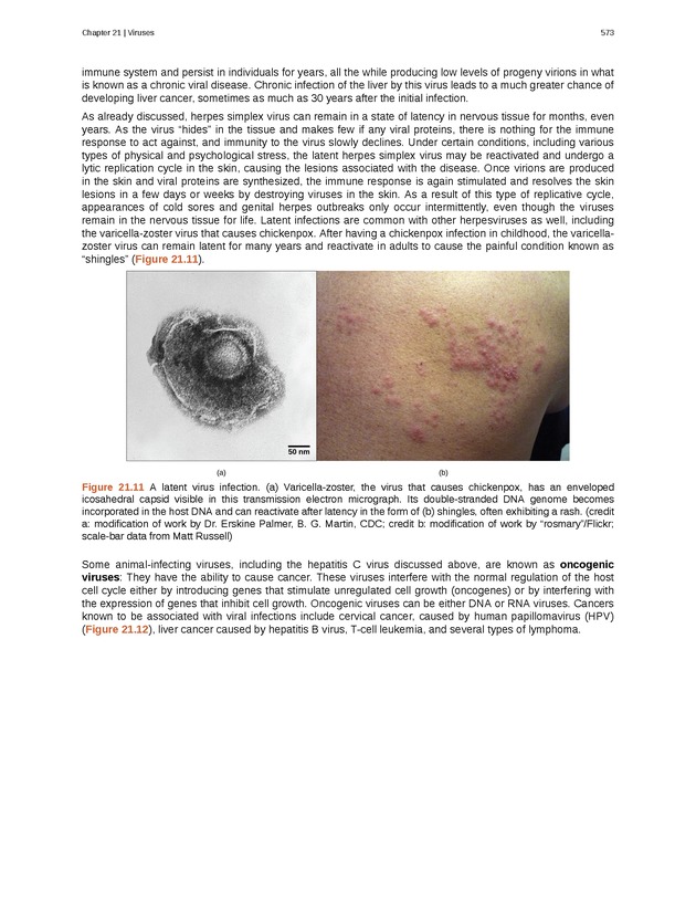 Biology - Front Matter 584