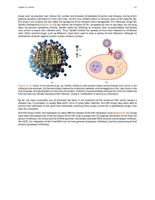 Biology - Front Matter 588