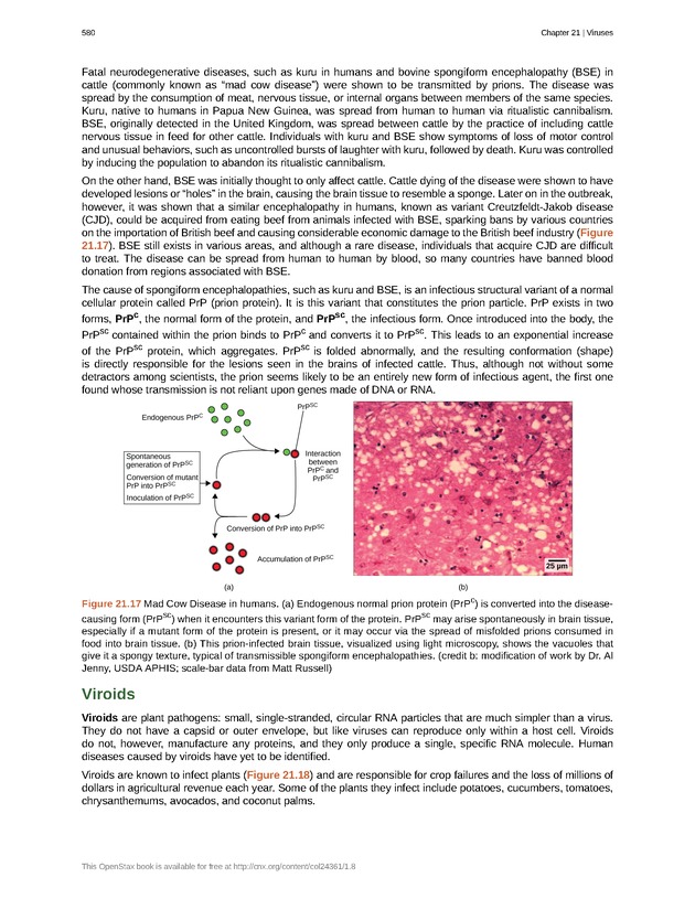 Biology - Front Matter 591