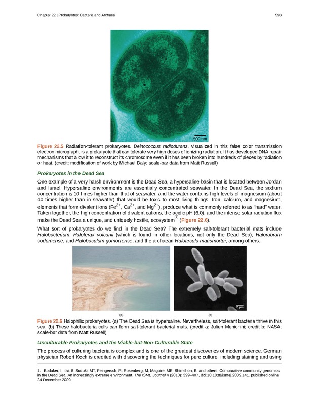 Biology - Front Matter 604