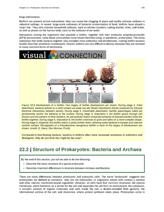 Biology - Front Matter 606