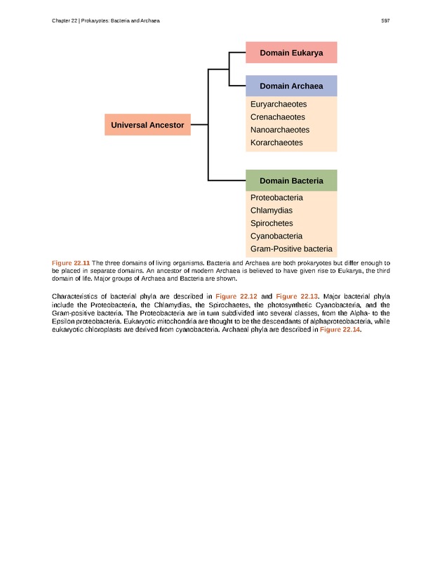 Biology - Front Matter 608
