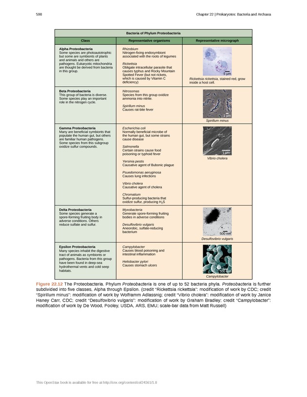 Biology - Front Matter 609