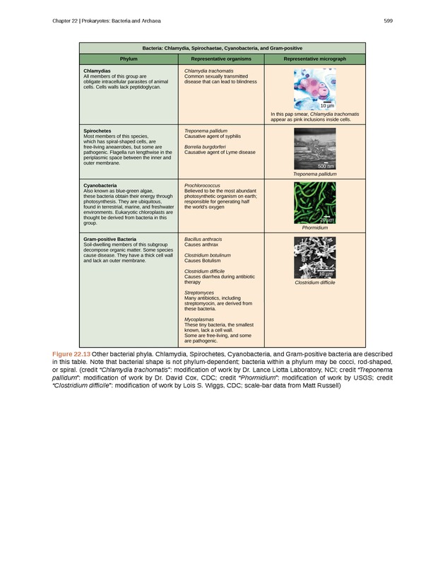 Biology - Front Matter 610