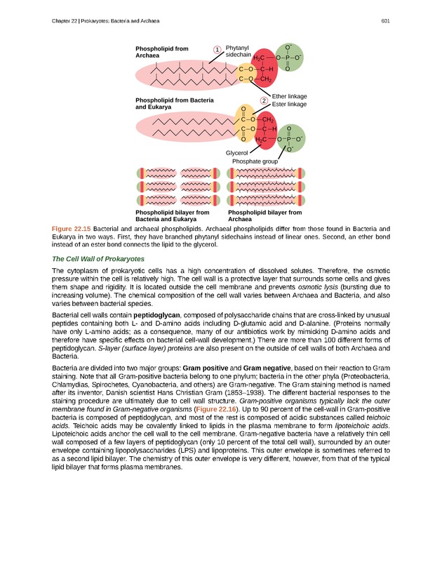 Biology - Front Matter 612