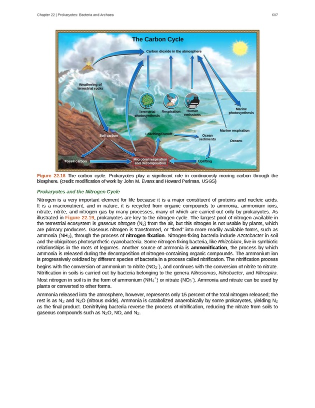 Biology - Front Matter 618