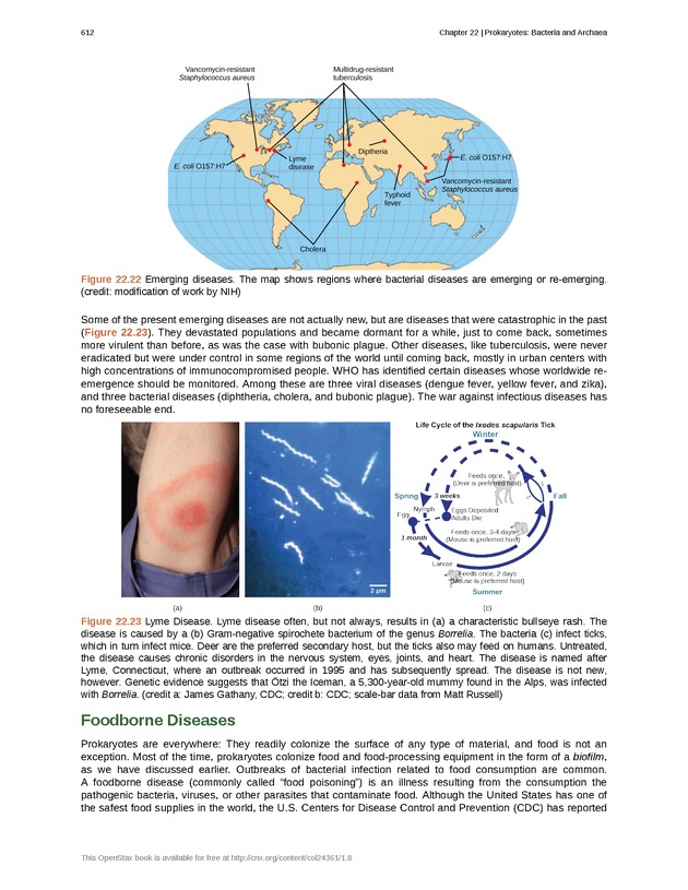 Biology - Front Matter 623