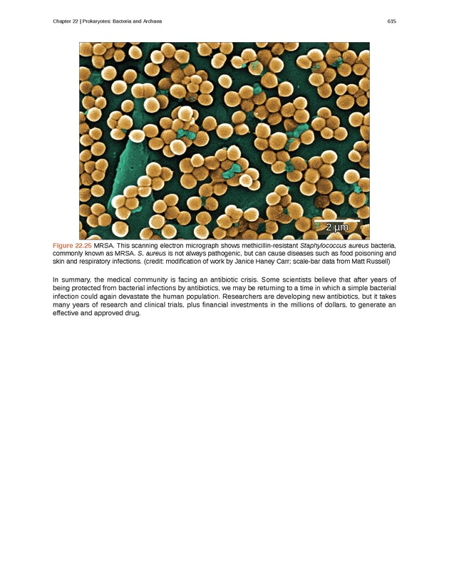 Biology - Front Matter 626