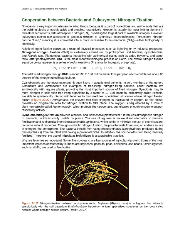 Biology - Front Matter 628