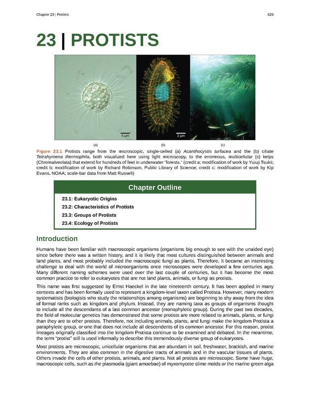 Biology - Front Matter 640