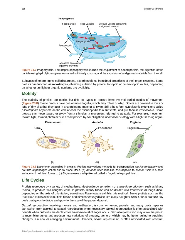 Biology - Front Matter 649