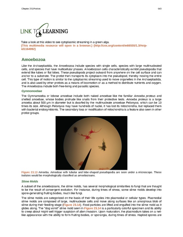 Biology - Front Matter 654