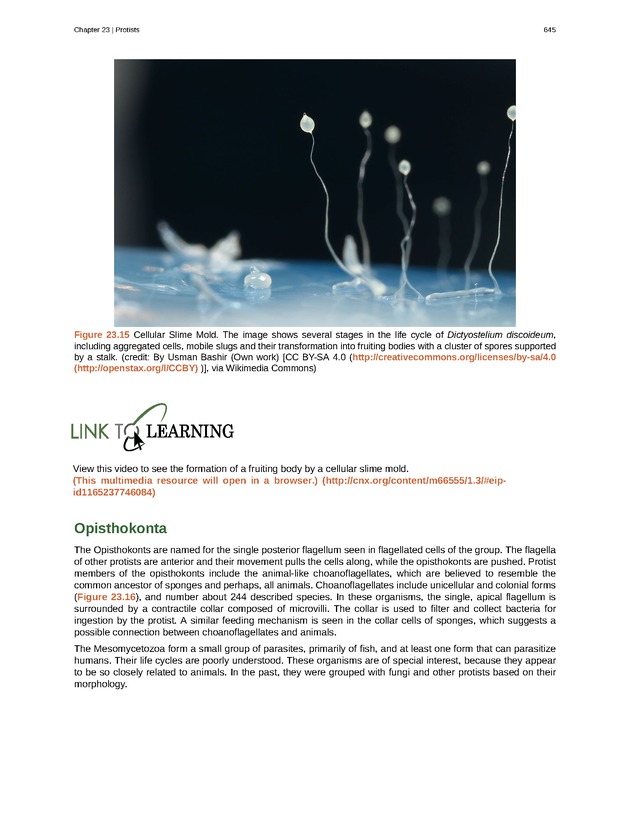 Biology - Front Matter 656