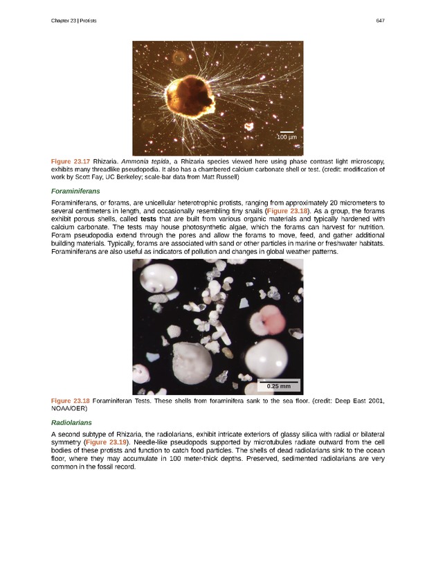 Biology - Front Matter 658