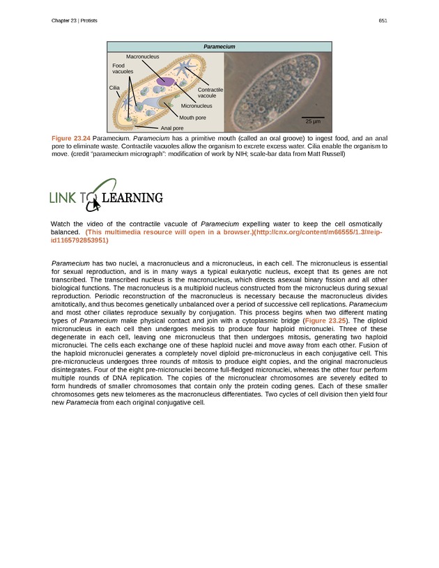Biology - Front Matter 662