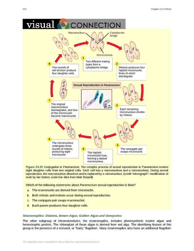 Biology - Front Matter 663
