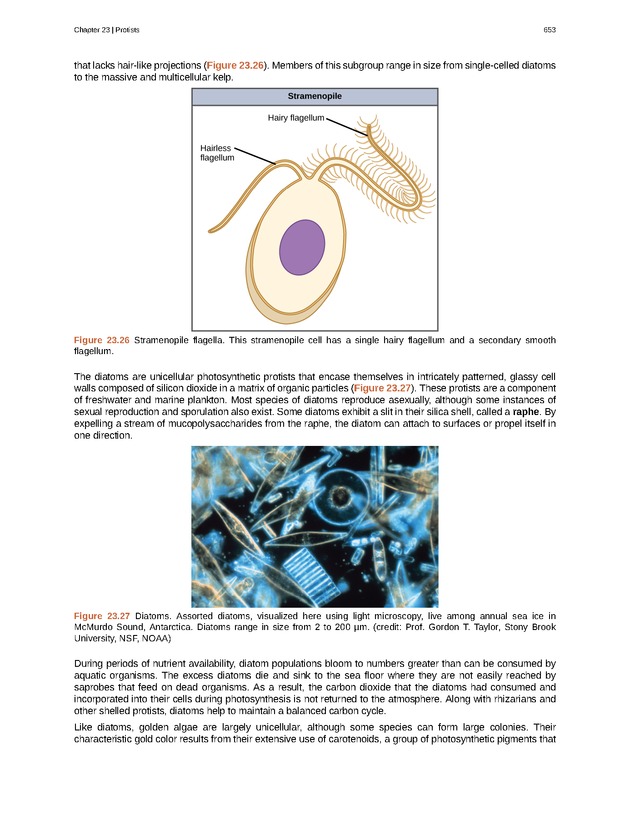 Biology - Front Matter 664