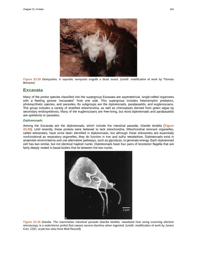 Biology - Front Matter 666