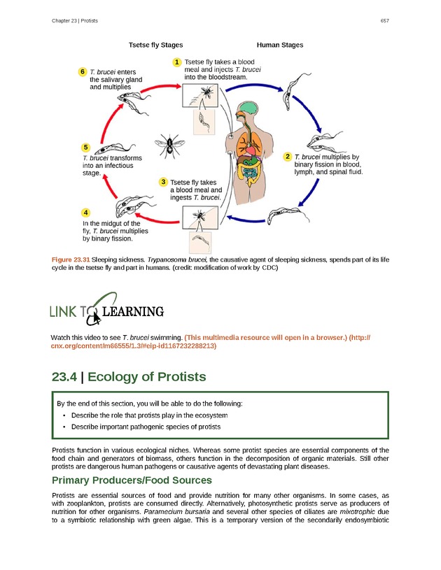 Biology - Front Matter 668