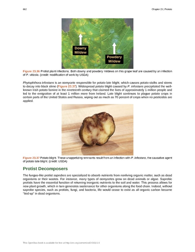 Biology - Front Matter 673