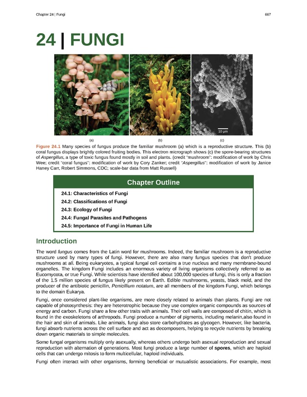 Biology - Front Matter 678