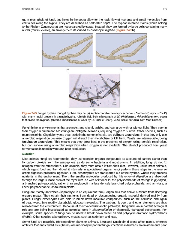 Biology - Front Matter 682