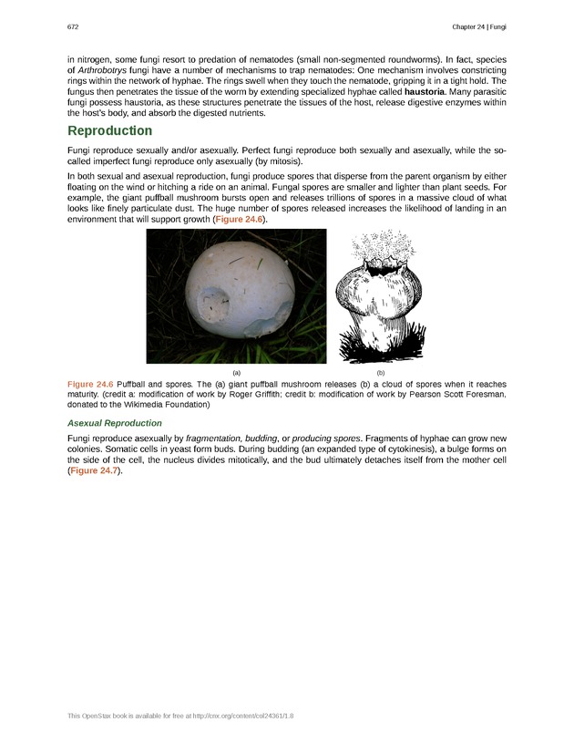 Biology - Front Matter 683