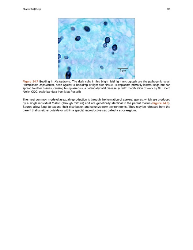 Biology - Front Matter 684