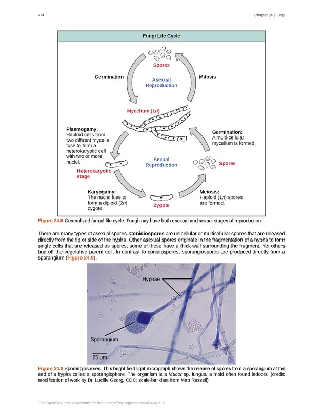 Biology - Front Matter 685